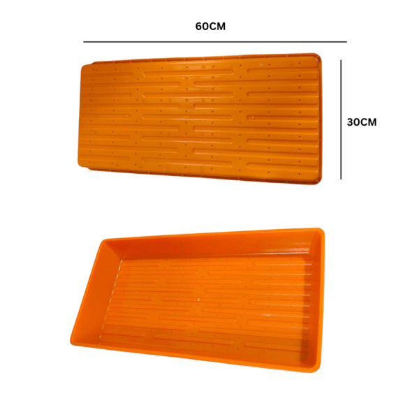 3-Tray Microgreens Growing Set (1 Top Tray, 1 Bottom Tray without Holes, 1 Middle Tray with Holes) - Image 3
